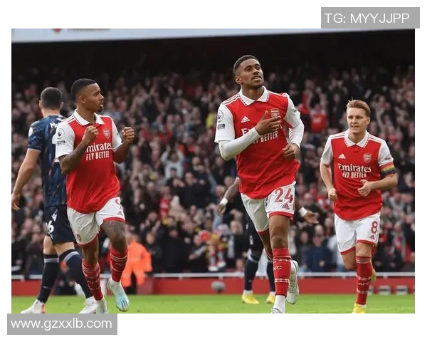 德甲激战:本菲卡逆转波尔图全场沸腾瞬间回顾与分析 德甲激战:本菲卡逆转波尔图全场沸腾瞬间回顾与分析